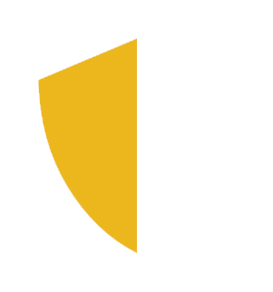 Shield_Icon_001